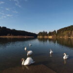 5. Publikumspreis: Ursula Schindlbeck "Niederwieser Bucht"