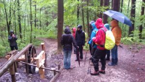 Auf dem Weg in die Ammerschlucht