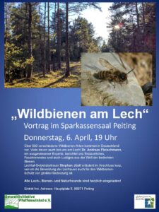 Einladung zum Vortrag "Wildbienen am Lech" am 6. April in Peiting